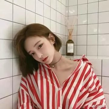 真相半白